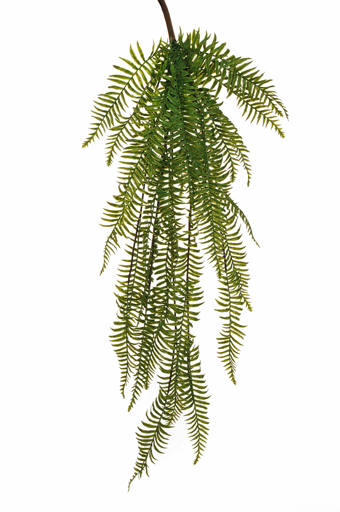 FELCE BUSH X6 120CM. VERDE