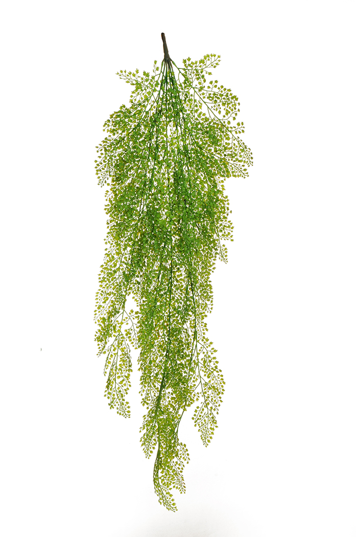 MAIDEN HAIR BUSH X6 120CM. VERDE