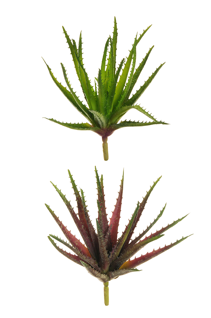 RUBBER ALOE 26CM. 2PZ.ASS. GREEN RED