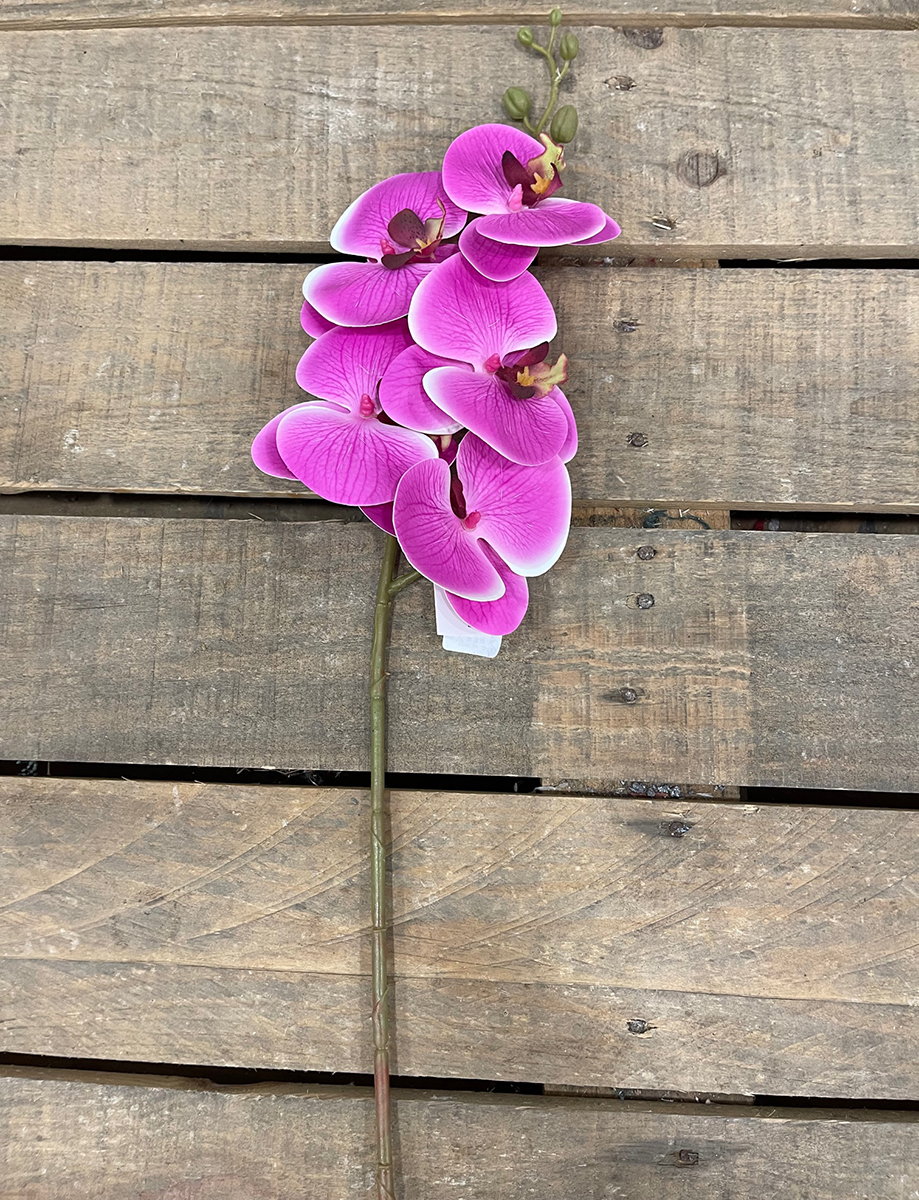 PHALAENOPSIS 3D REAL T. 84CM. FUCHSIA