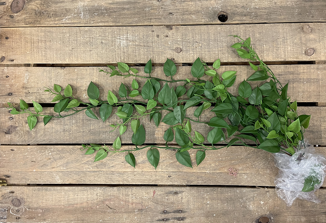 PHILO VINE L.105CM. VERDE