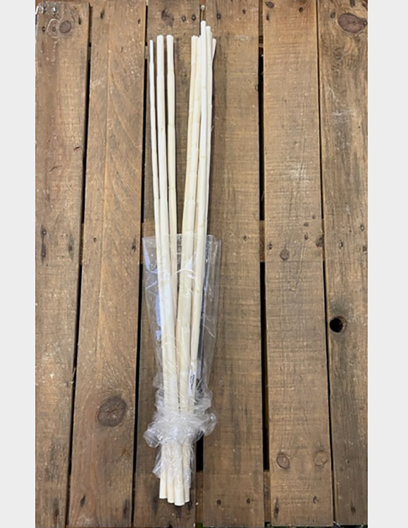 CANNA H1MT. 10PZ. BIANCO
