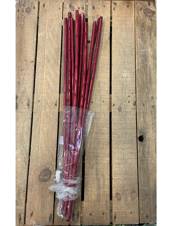 CANNA H1MT. 10PZ. ROSSO