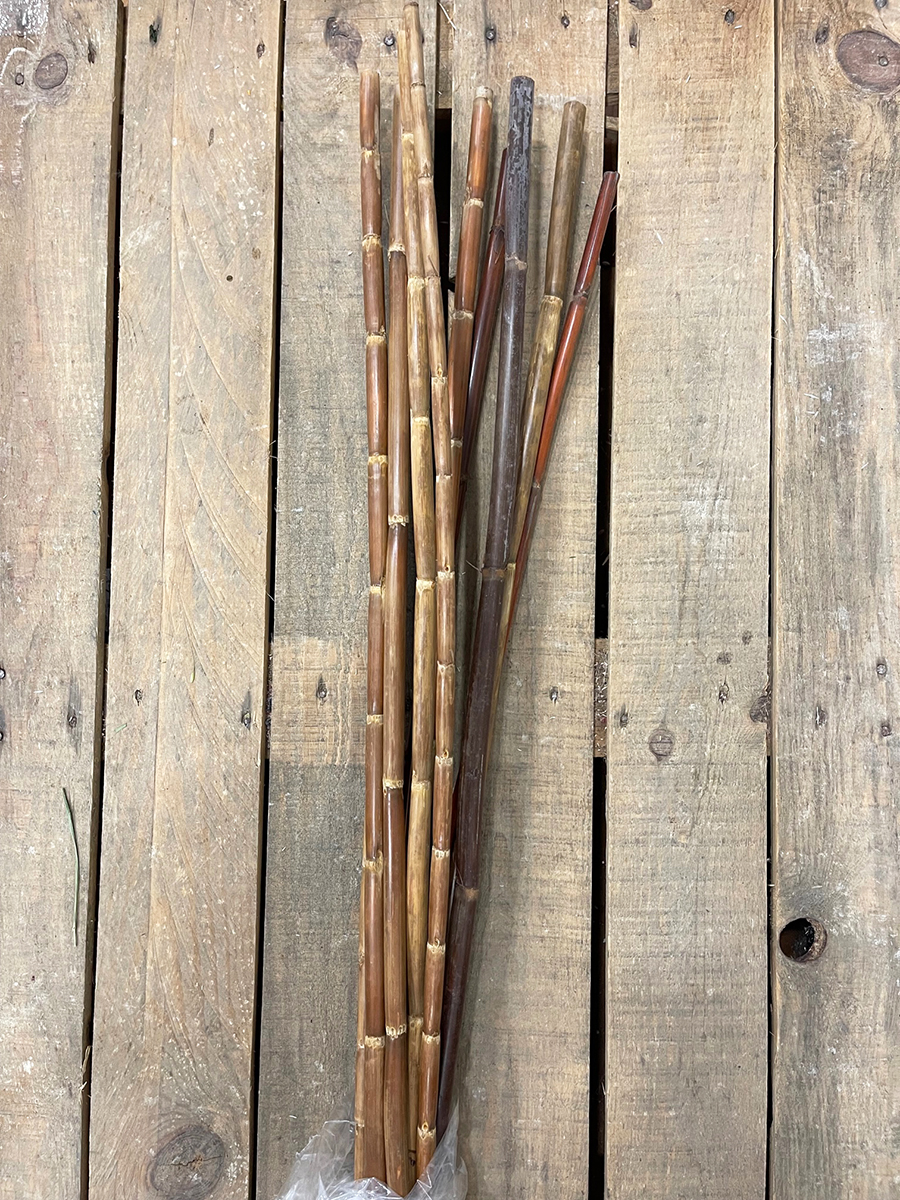 CANNA H1MT. 10PZ. FANGO