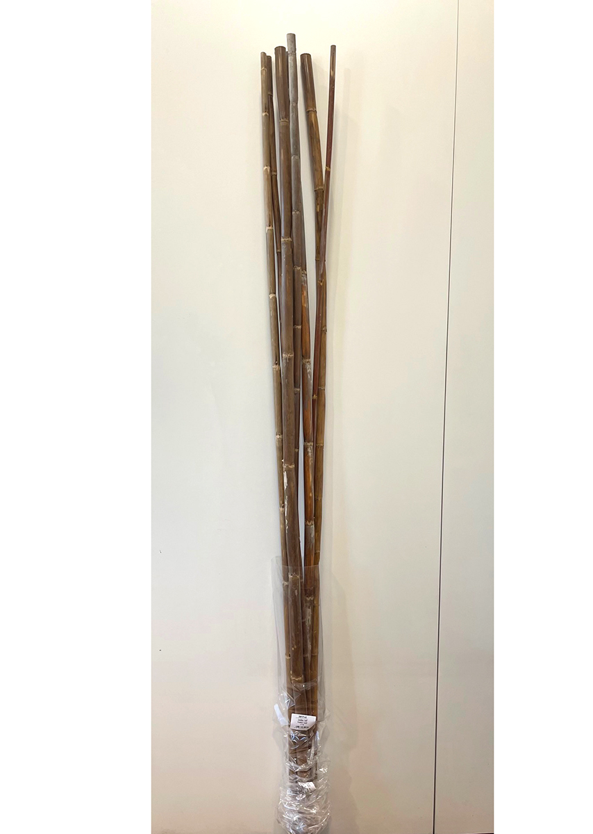 CANNA H2MT. 7PZ. FANGO