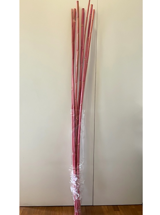 CANNA H2MT. 7PZ. CIPRIA