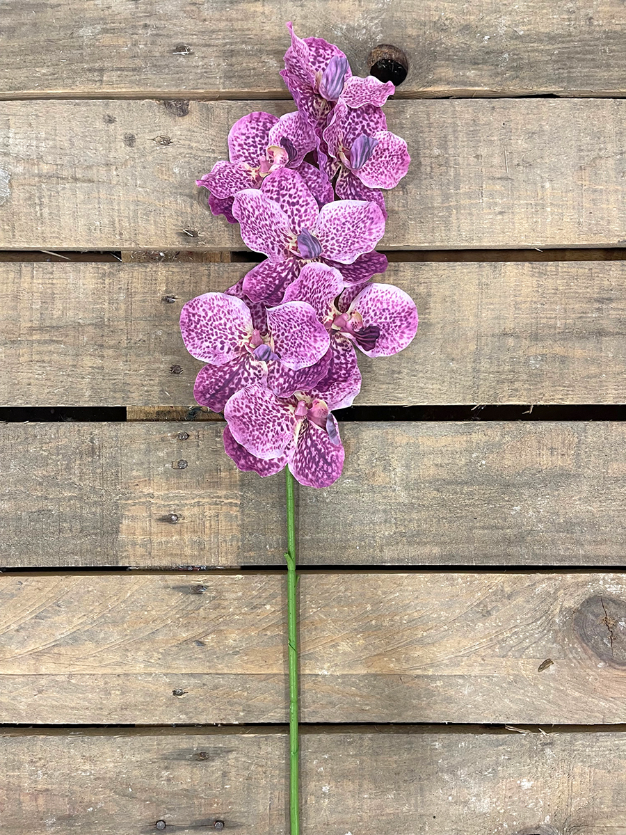 WANDA ORCHID SPRAY REAL TOUCH 80CM. FUCSIA