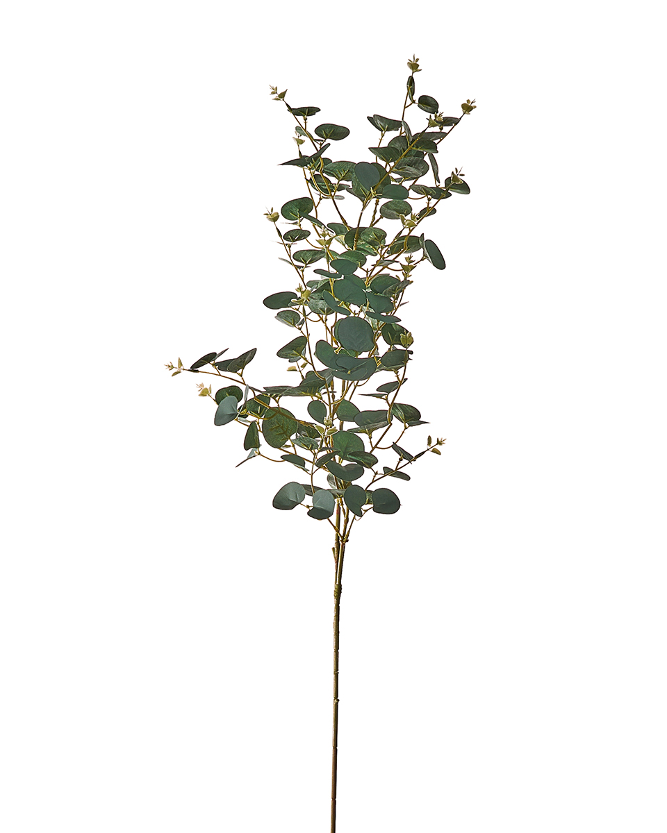 TRALCIO EUCALIPTUS 100CM. VERDE SC.