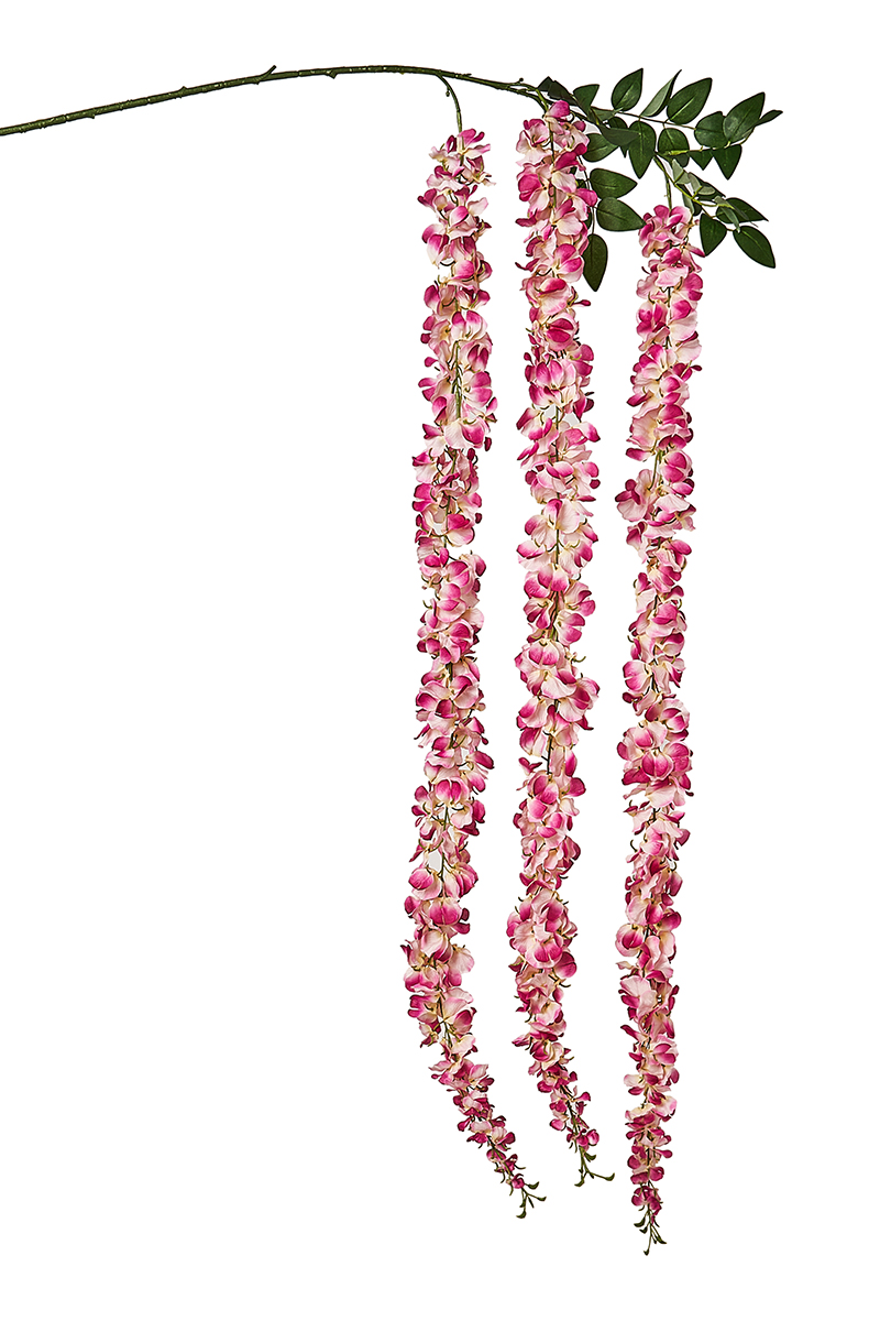 GLICINE X3 H.200CM. FUCHSIA CH.