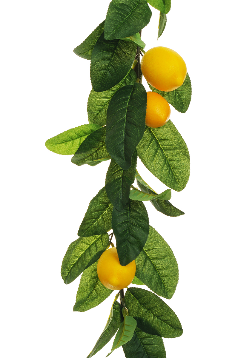 FESTONE LIMONI 70FOGLIE L180CM.