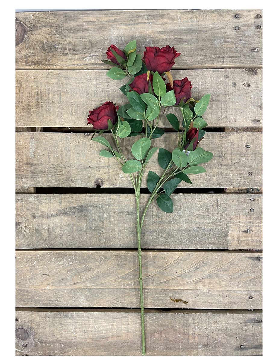 ROSA AUSTIN 4FIORI 2BOCC. 70CM. ROSSO