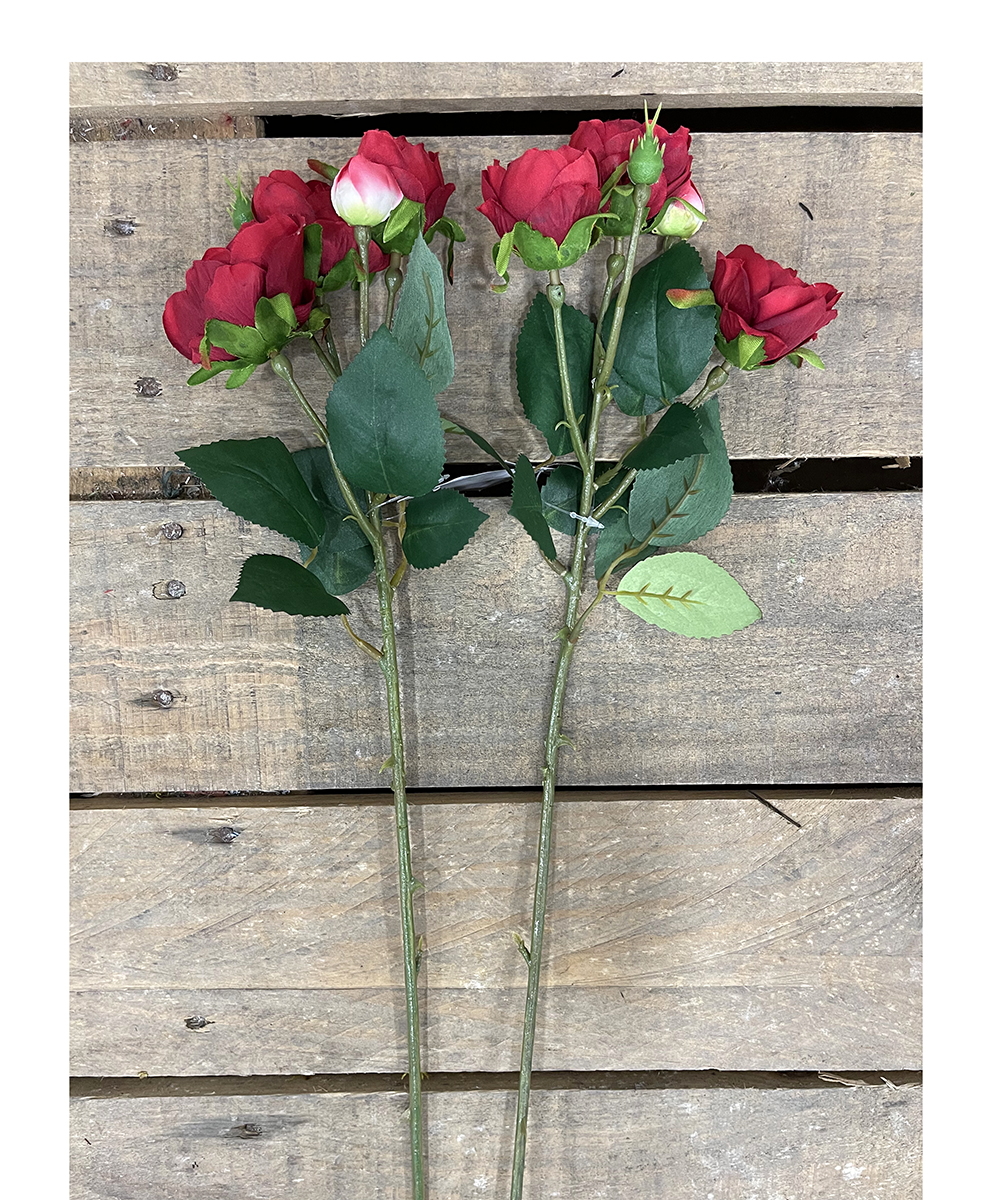 ROSA ENGLISH MINI X4 48CM. 2PEZZI ROSSO