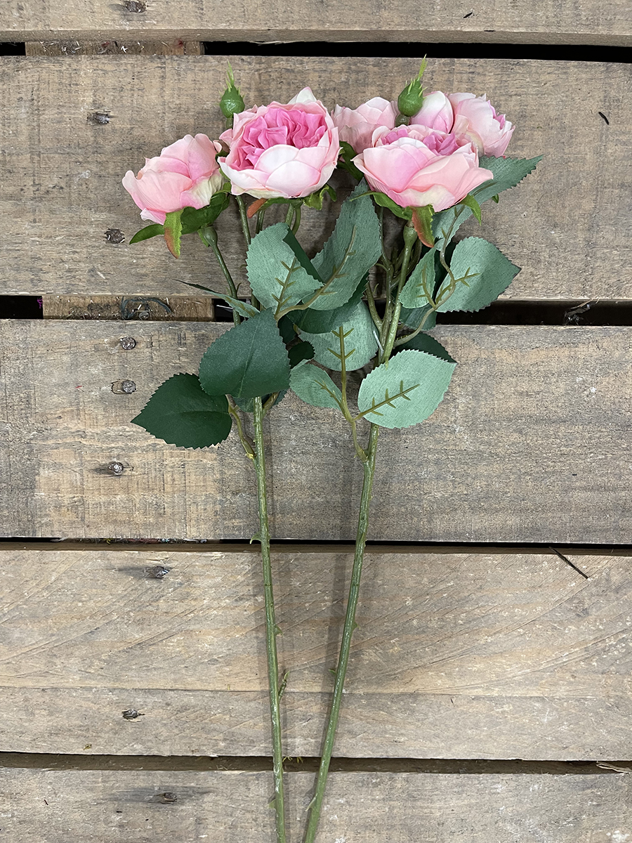ROSA ENGLISH MINI X4 48CM. 2PEZZI ROSA