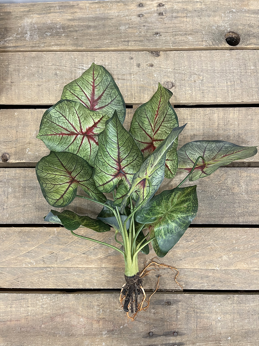 TARO LEAVES X12 55CM. ROSA/ VERDE
