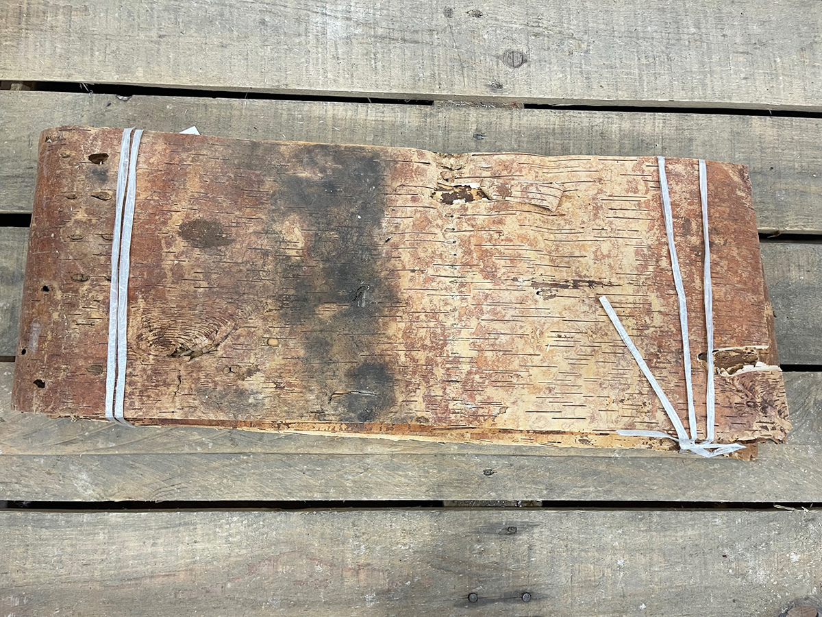 CORTECCIA BETULLA 24X70CM 5PZ NAT.