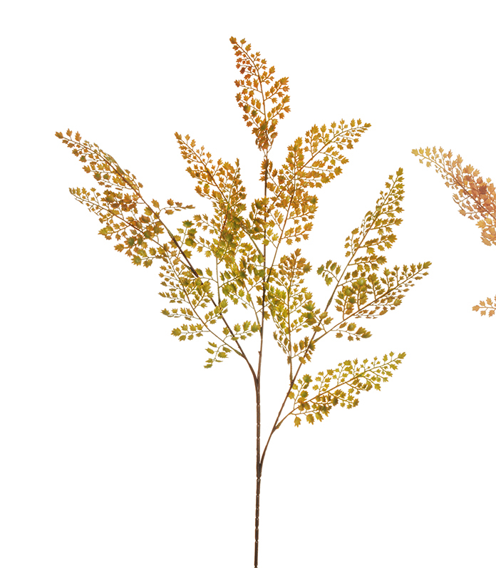 MAIDENHAIR SPRAY FLOKED 2PZ. 99CM. MAUVE