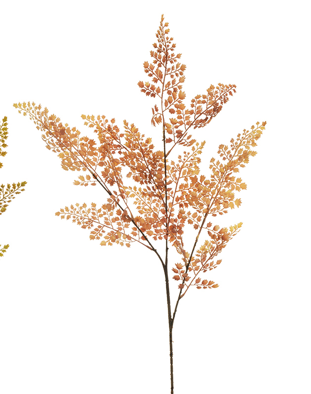 MAIDENHAIR SPRAY FLOKED 2PZ. 99CM. BRWN