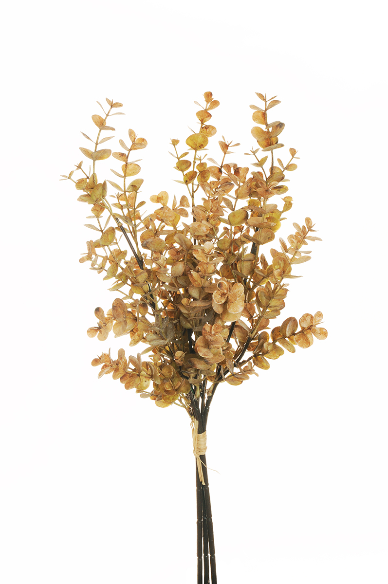 EUCALYPTUS BUNDLE 3STELI 50CM. LT BROWN