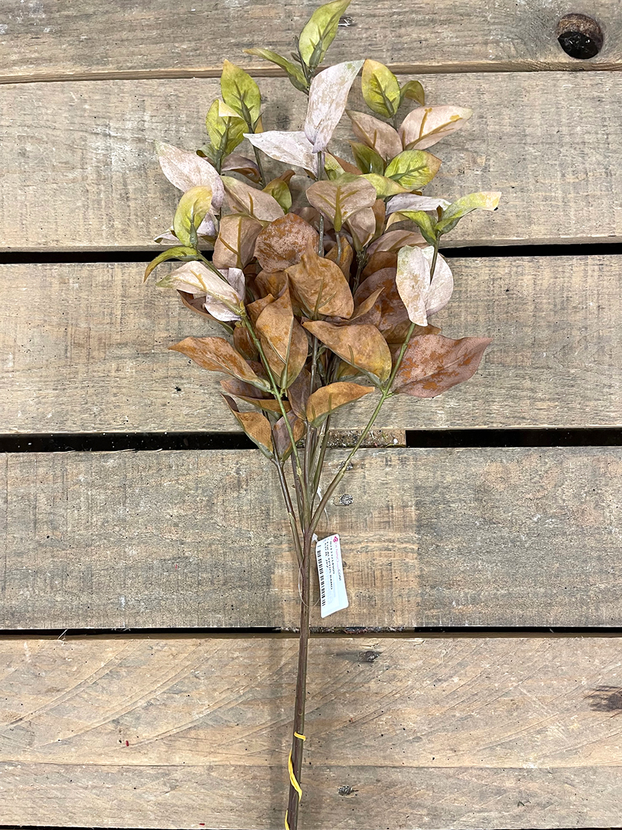 EUCALYPTUS RAMO 61CM. 2PZ.