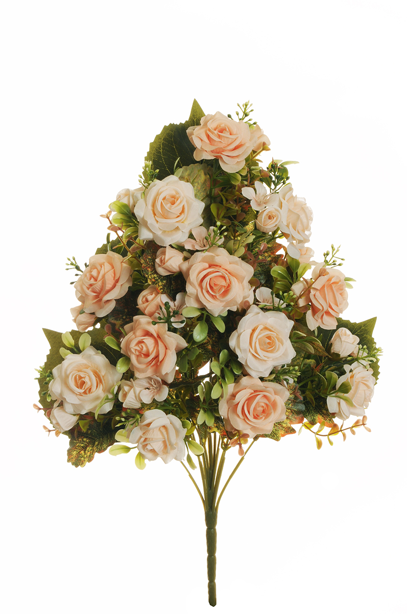 BUSH MINI ROSE QUERCIA 465CM. PEACH