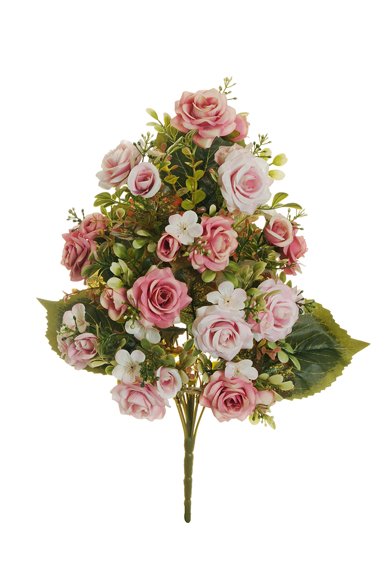 BUSH MINI ROSE QUERCIA 465CM. ROSA