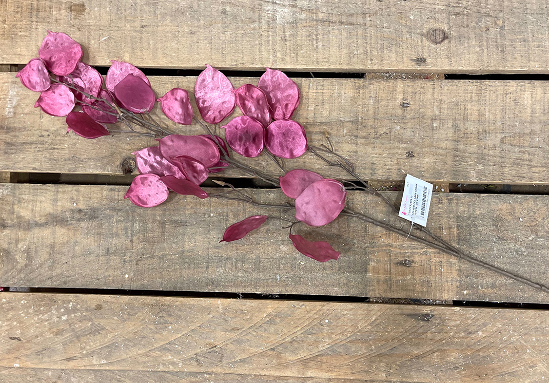 SILVER DOLLARS SPRAY 107CM. DK PINK
