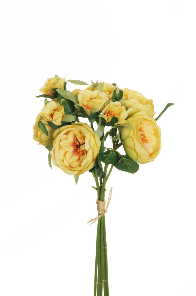 ROSE AUSTIN BUNDLE X5 36CM. LT YELLOW