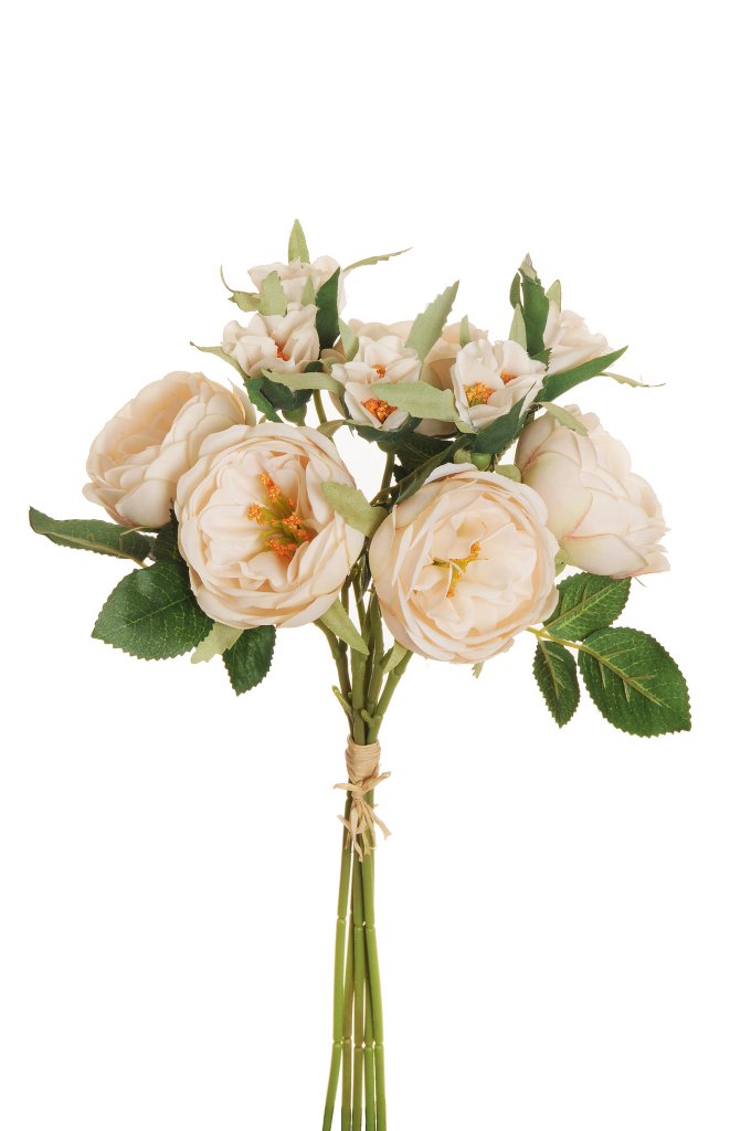 ROSE AUSTIN BUNDLE X5 36CM. CREAM PEACH