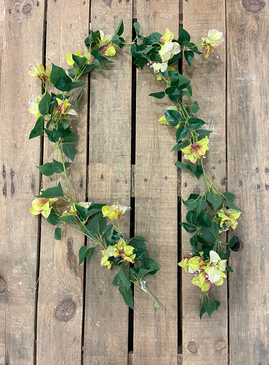 BOUGAINVILLEA FESTONE 180CM. VERDE