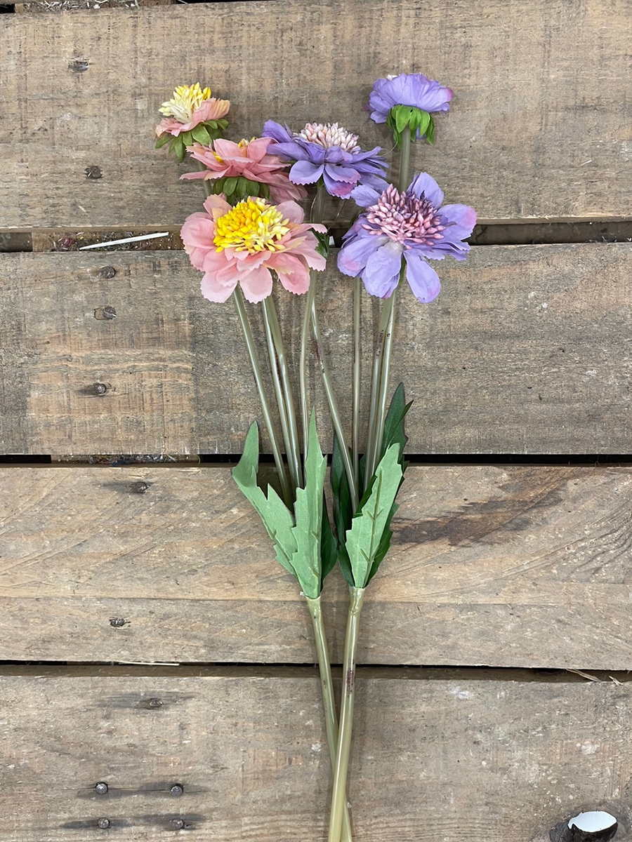 SCABIOSA SPRAY X3 47CM. 2PZ.