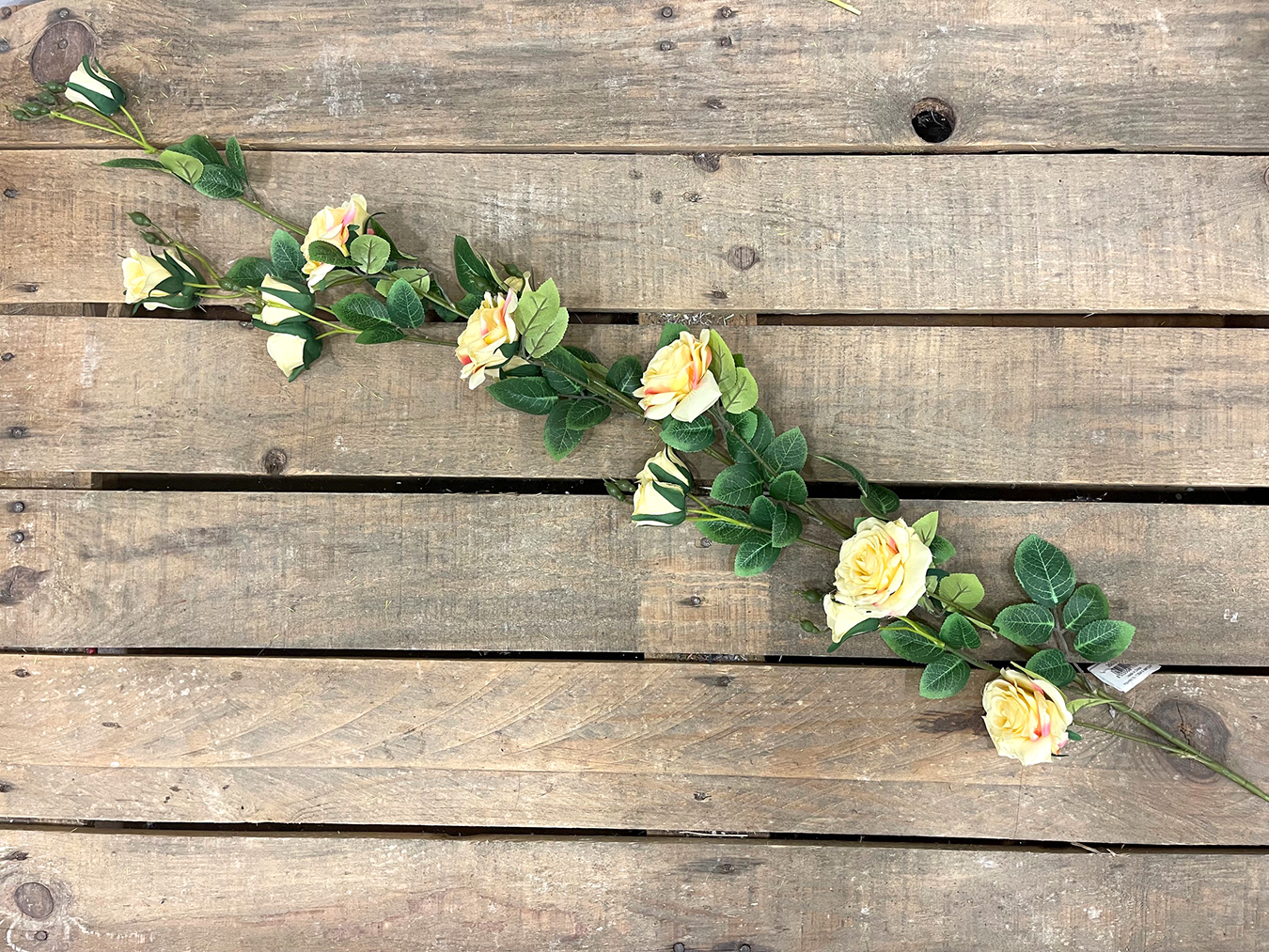 ROSE TRALCIO 110CM. 5FIORI 6BOCC. LT YELL