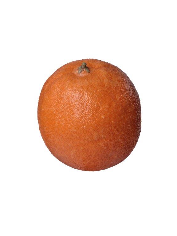 ARANCIA D.9-10CM. 3PZ.