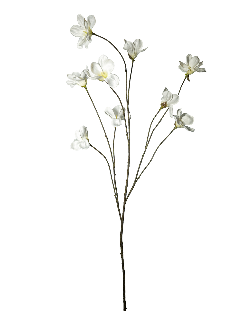 MAGNOLIA JAPON.RAMO 9FIORI 130CM. BIANCO