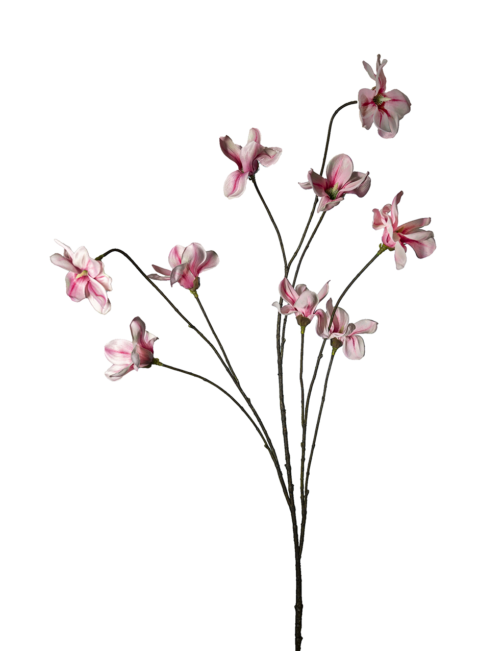 MAGNOLIA JAPON.RAMO 9FIORI 130CM. ROSA