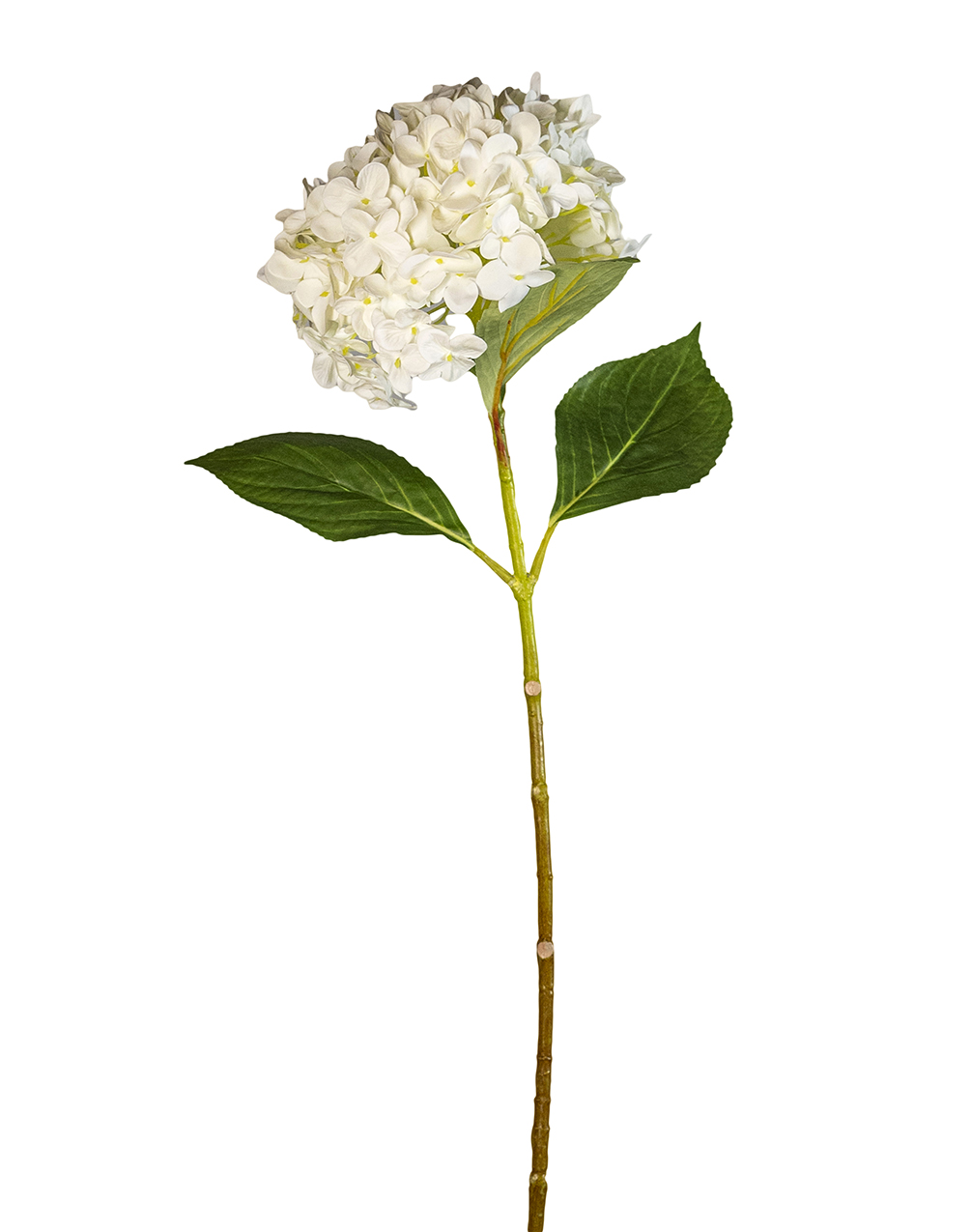 HYDRANGEA REAL TOUCH D.18CM. L70CM. BIANCO