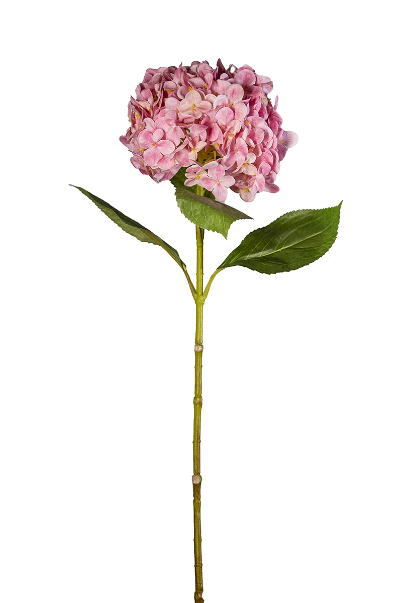 HYDRANGEA REAL TOUCH D.18CM. L70CM. ROSA