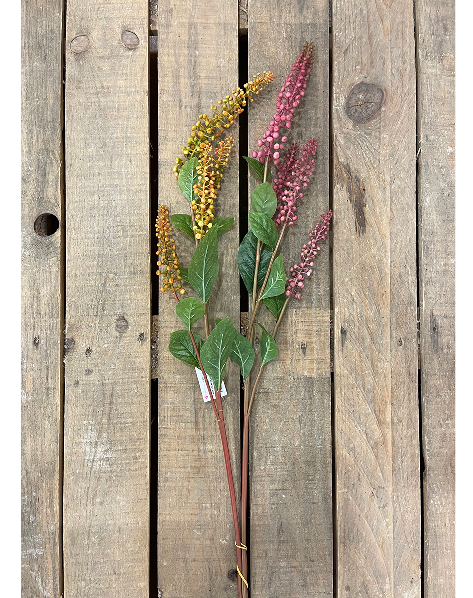 PHYTOLACCA SPRAY 100CM. 2PZ.COL.ASS.