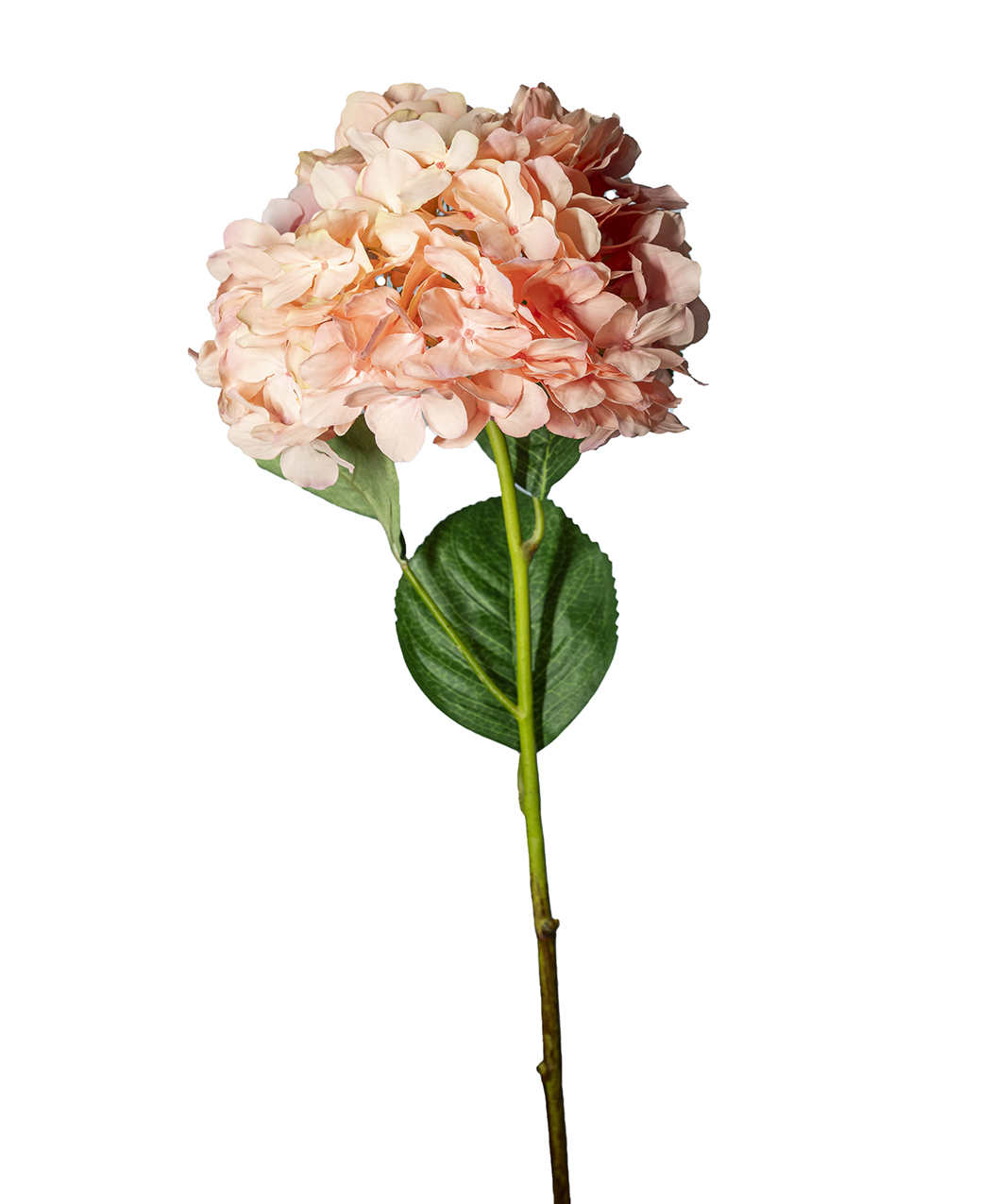 HYDRANGEA SPRAY D25 L75CM. ROSA ---NETTO---