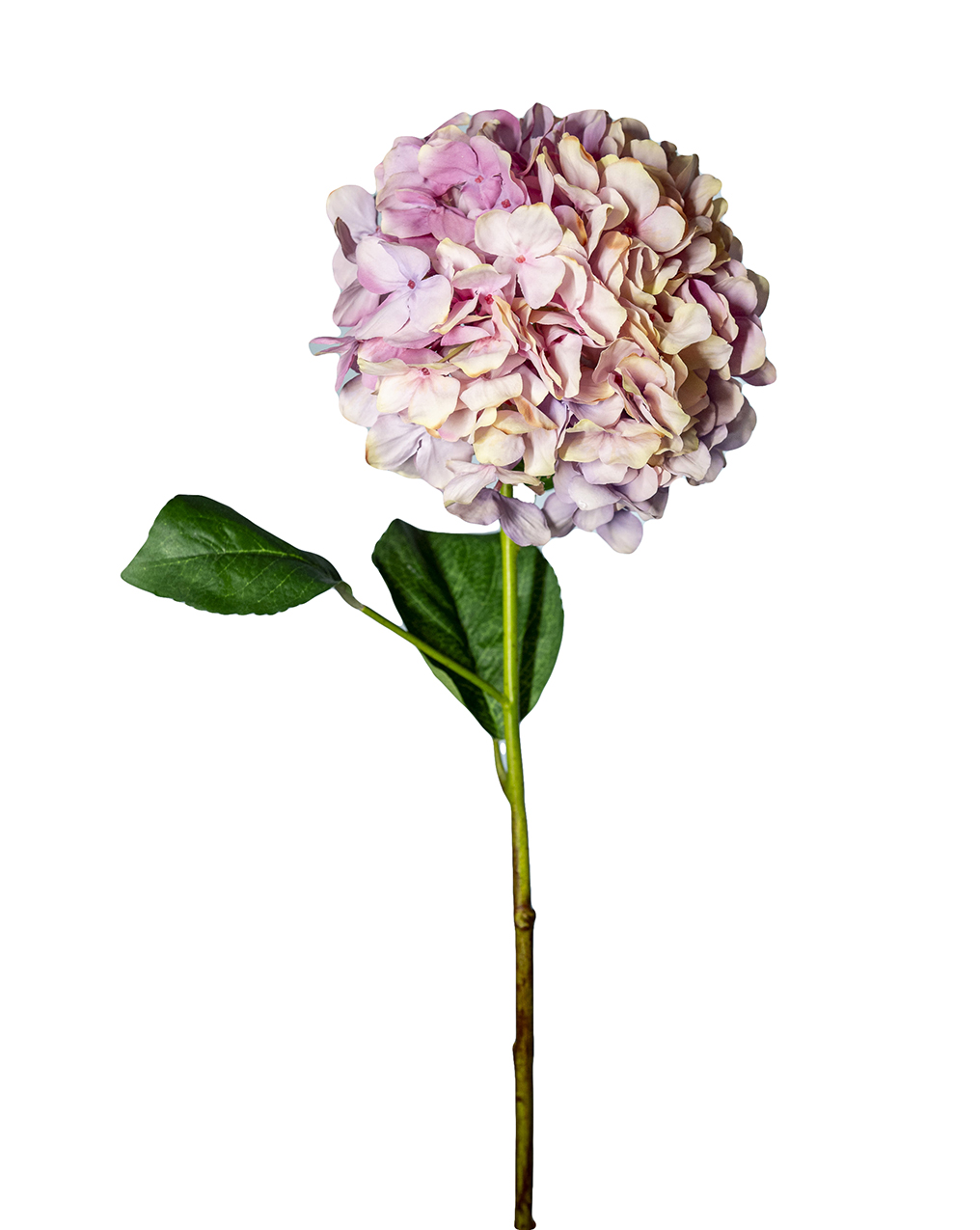 HYDRANGEA SPRAY D25 L75CM. LILLA ---NETTO---