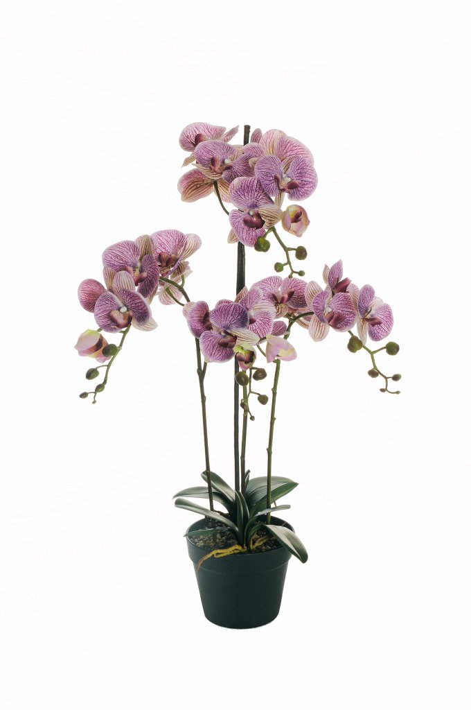 PIANTA PHALAENOP.REAL TOUCH 4RAMI H80CM. PURP.LIL
