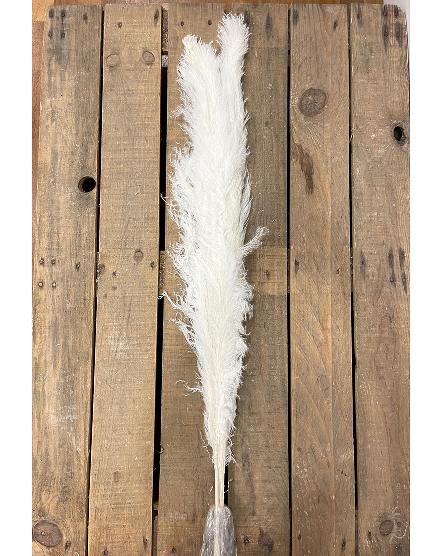 PAMPAS THAILAND 140CM. 3PZ. BIANCO