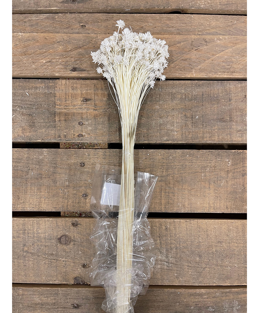 TRESQUINAS 55CM. 100GR. BIANCO