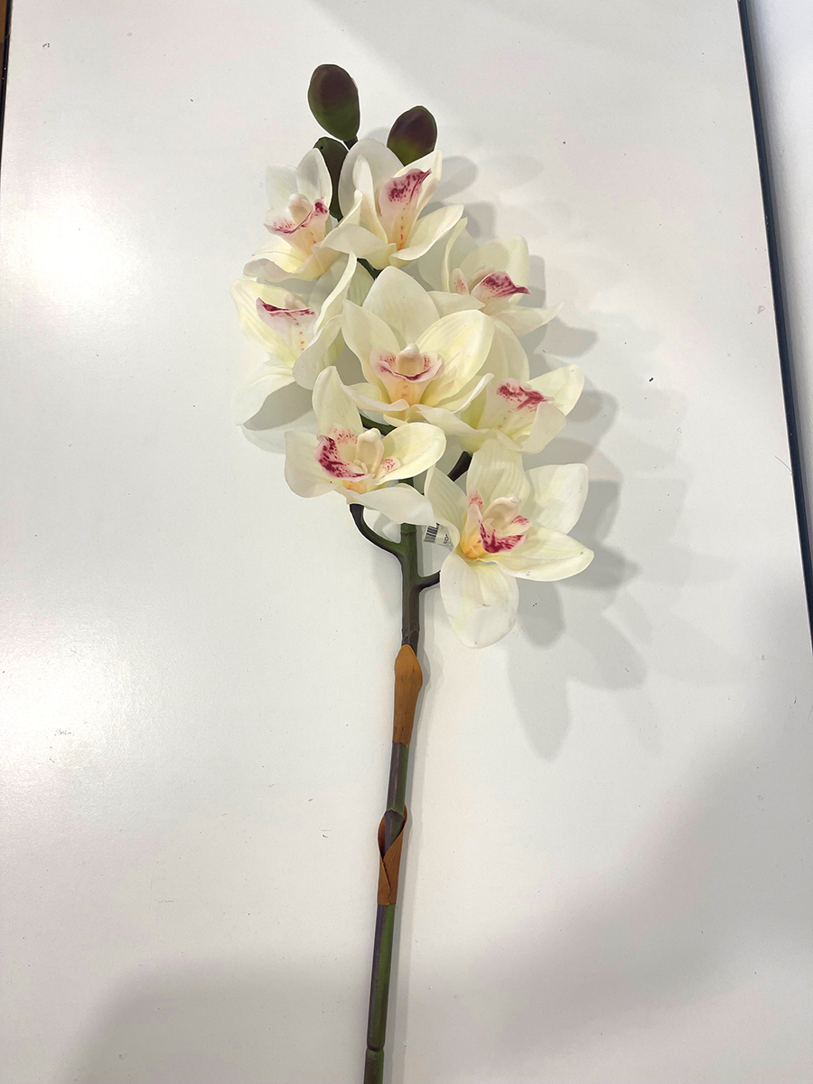 CIMBYDIUM REAL TOUCH 8FIORI 3BOCC. 75CM. CRM