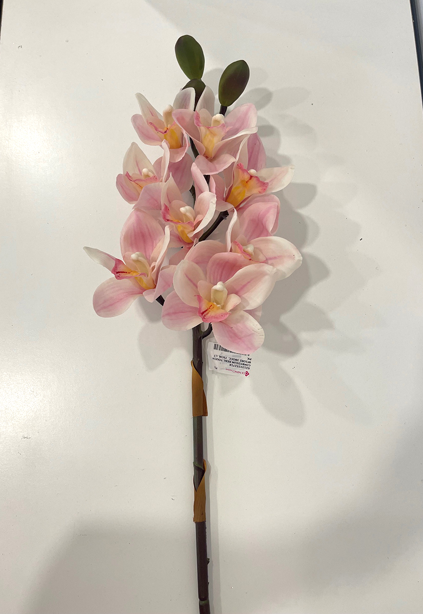 CIMBYDIUM REAL TOUCH 8FIORI 3BOCC. 75CM. LT PK