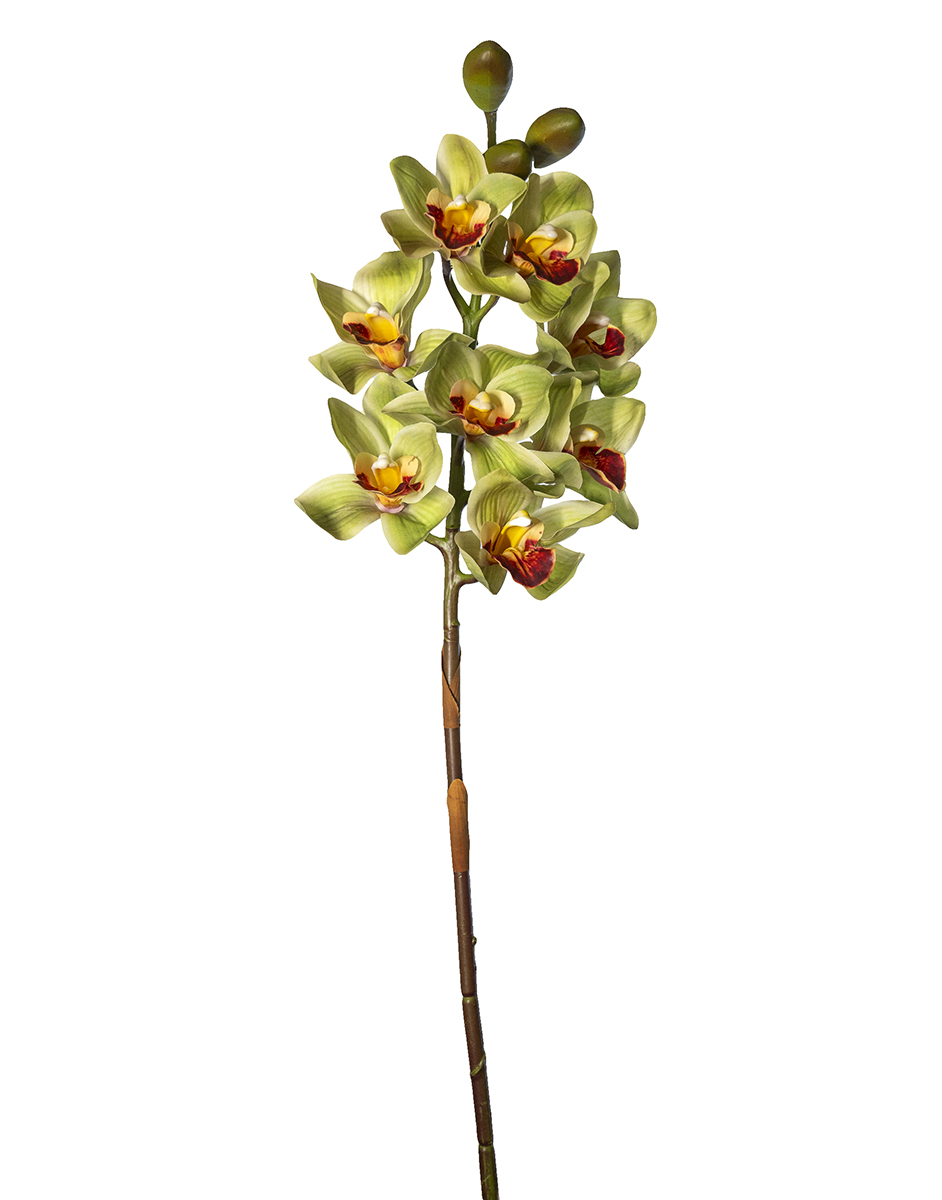 CIMBYDIUM REAL TOUCH 8FIORI 3BOCC. 75CM. GREEN