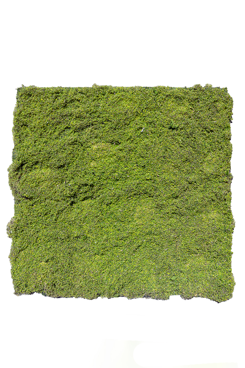 TAPPETO DI MUSCHIO 1X1MT. VERDE CHIARO
