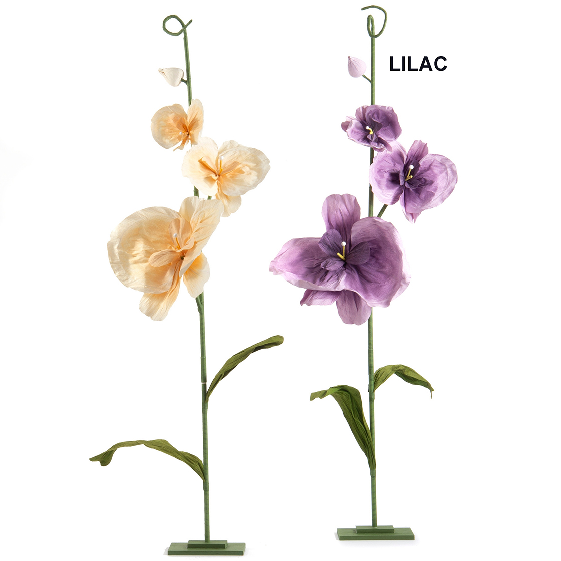 ORCHIDEA GRANDE SU BASE 60X15 H240CM. LILLA