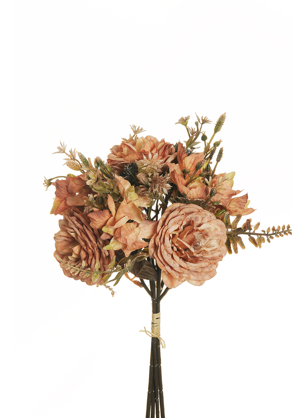 DOGWOOD ROSE, HYDR. FILLERS BUNDLE 36CM. ARAN.