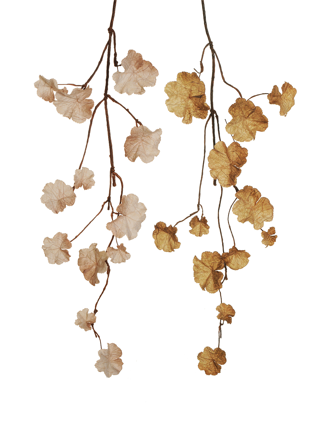 RAMO HEUCHERA 110CM. 2PZ. BEIGE /CREMA