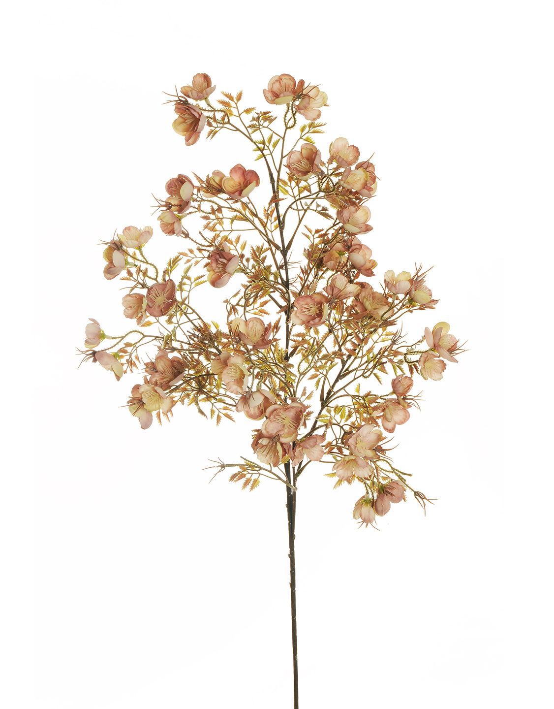 MINI ROSE SPRAY X4 84CM. ROSA ANT.